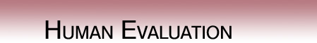 Evaluation Categories and Products