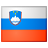 Slovenia Flag