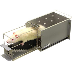 Motility Testing