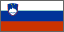 Slovenia Flag