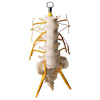 Lumbar Vertebrae Column with Spinal Nerves