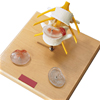 Lumbar Vertebrae Set with Herniated Discs