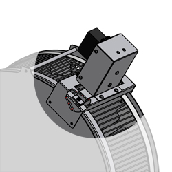 Rats Wheel