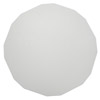 White Arena Floor for Mouse Radial Arm Maze