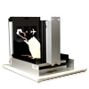 Paired-Associate Learning Task - PAL - for Rats