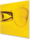 Microinjection