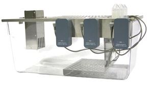 Triple Lickometer Chamber: Counters