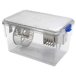 Scurry Mouse Misstep Wheel with Filter Lid